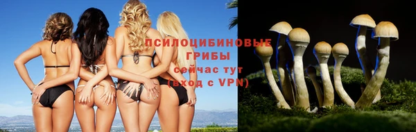 индика Баксан