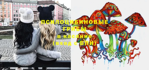 крисы Балахна