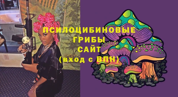 индика Баксан