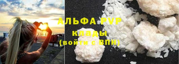 крисы Балахна