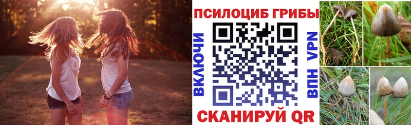 купить   Лангепас  Галлюциногенные грибы MAGIC MUSHROOMS 