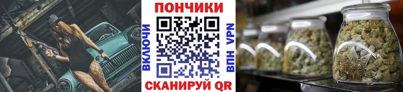 OMG ONION  Лангепас  Каннабис VHQ  где найти  